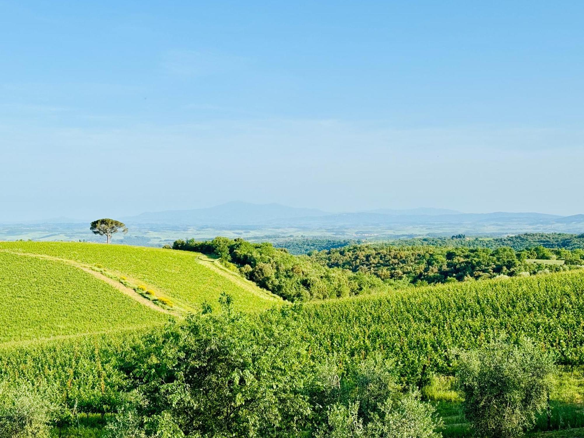 Libertas Tuscan Hideaway San Sano ภายนอก รูปภาพ