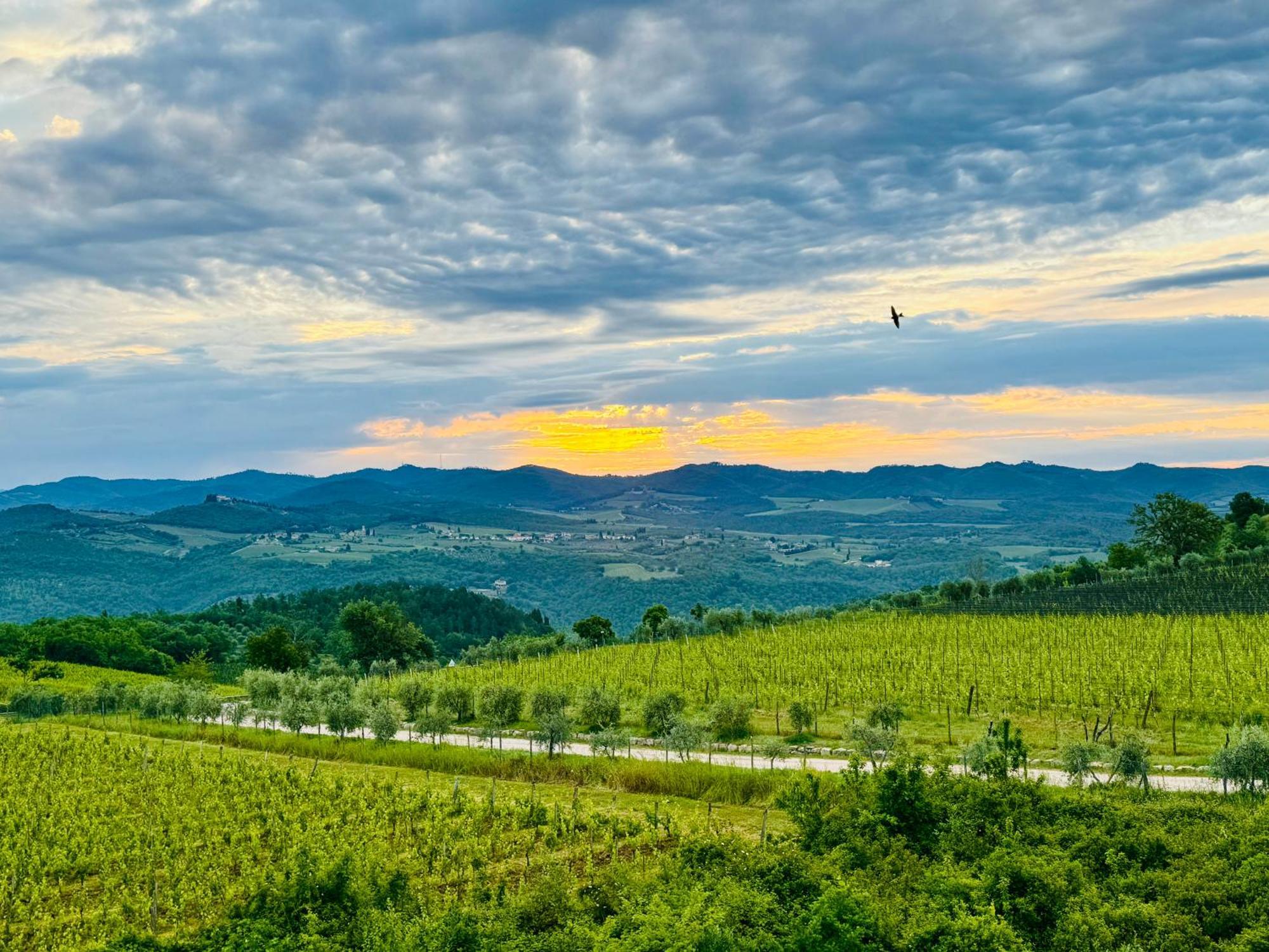 Libertas Tuscan Hideaway San Sano ภายนอก รูปภาพ